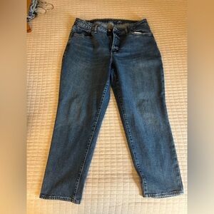 Old Navy High Rise Curvy OG Straight Jean